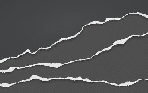 Torn, ripped pieces of horizontal black and white paper with soft shadow are on Stock Illustration