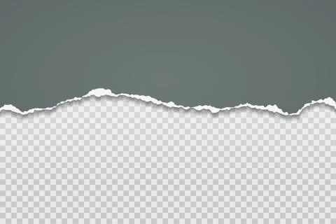 Torn, ripped pieces of horizontal dark green paper with soft shadow are on white Stock Illustration