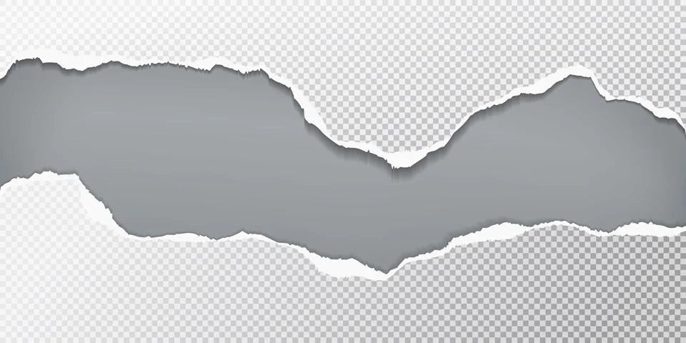 Torn, ripped pieces of horizontal squared paper with soft shadow are on grey Stock Illustration