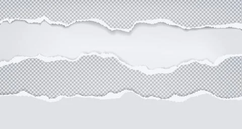 Torn, ripped pieces of horizontal squared paper with soft shadow are on white Stock Illustration