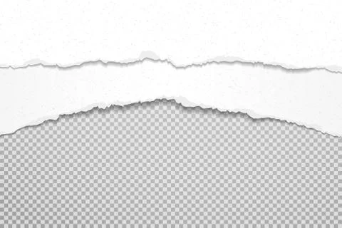 Torn, ripped pieces of horizontal white and grainy paper with soft shadow are on Stock Illustration