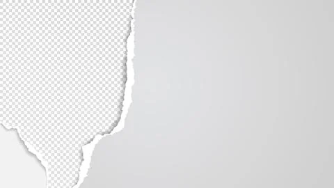 Torn, ripped squared and grey paper strips with soft shadow are on white Stock Illustration