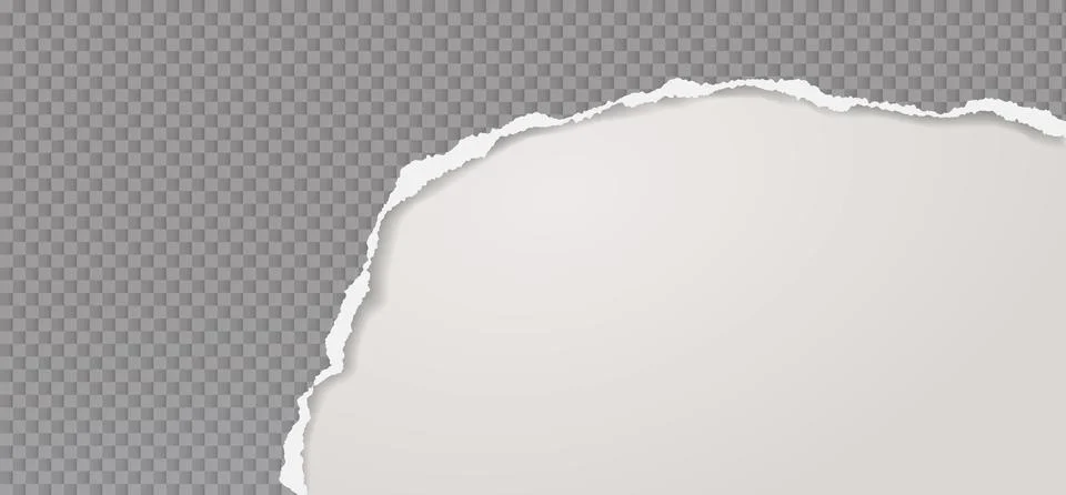 Torn, ripped squared grey paper strip with soft shadow is on white background Stock Illustration