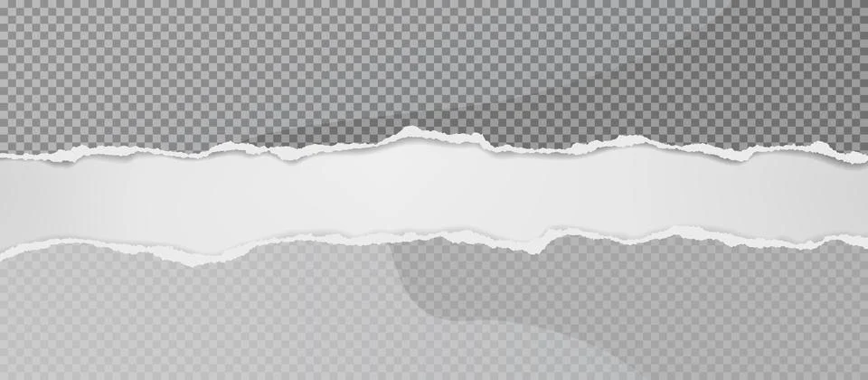 Torn, ripped squared paper strips with soft shadow are on white background for Stock Illustration