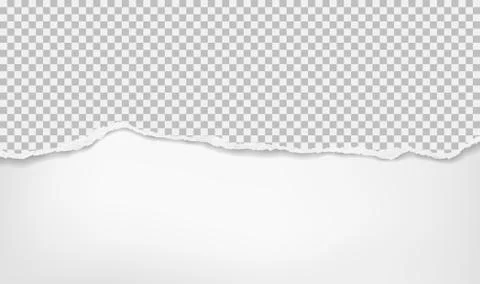 Torn, ripped white squared paper with soft shadow is on white background for Stock Illustration