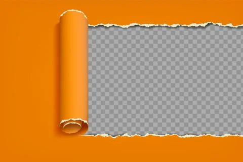 Torn sheet of paper with a curled edge. Stock Illustration