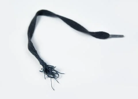 Torn shoelace on a white background Stock Photos