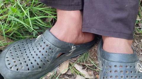 Torn slippers Stock Footage 310330991