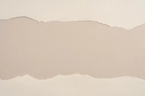 Torn strips of paper 스톡 사진