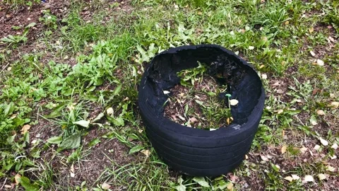 Torn tire on the side of the road hazard Video stock 211807714
