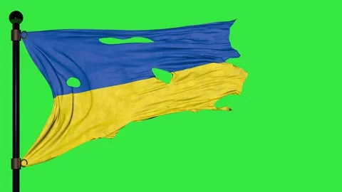 The torn Ukrainian flag flutters in the wind in a green background Video stock 172480820