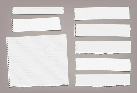 Torn white blank and lined note, notebook paper strips, pieces and sheeds stuck Stock Illustration