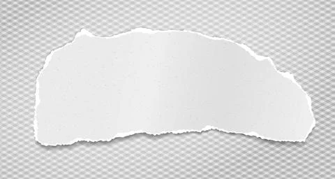 Torn white grainy note, notebook paper strip, piece stuck on squared background Stock Illustration