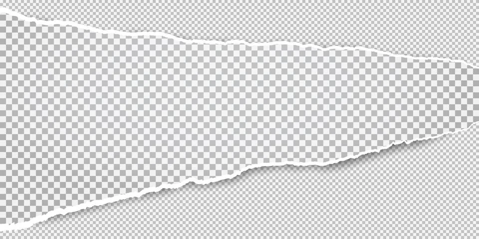 Torn white horizontal squared paper strips for text or message is on white Stock Illustration