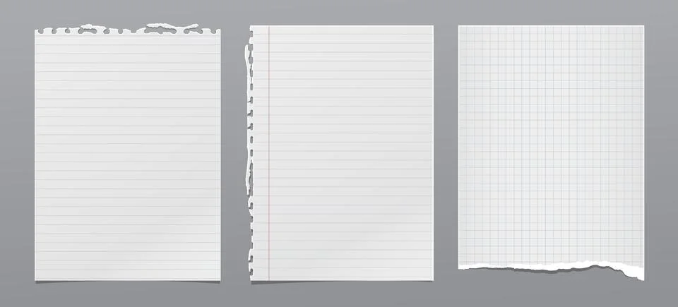 Torn of white, lined and squared note, notebook paper with soft shadow stuck on Stock Illustration