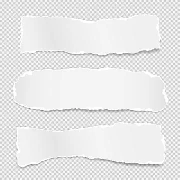Torn of white note, notebook paper strips, pieces stuck on grey squared Stock Illustration