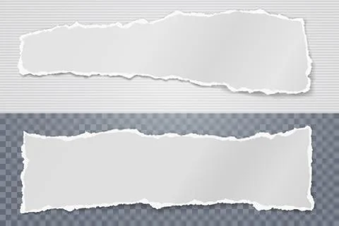 Torn of white note, notebook paper strips and pieces stuck on squared, lined Stock Illustration