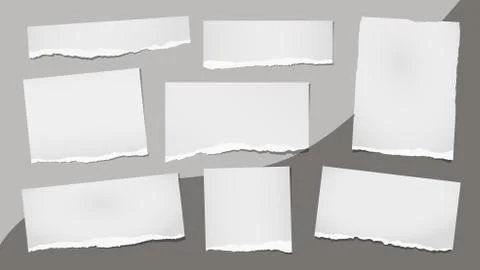 Torn of white note, notebook paper strips and pieces stuck on grey background Stock Illustration