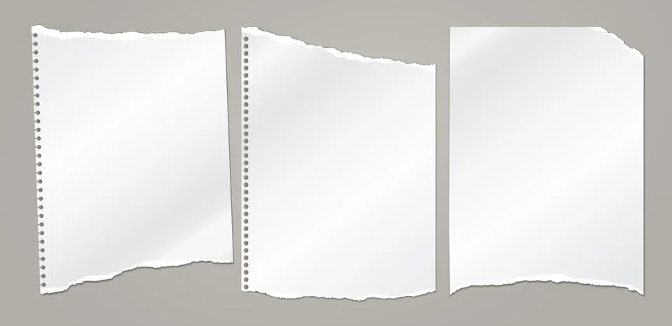 Torn white note, notebook paper pieces for text stuck on grey background. Vector Stock Illustration