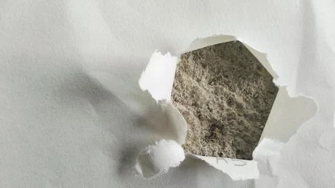 Torn White Paper Hole with Rough Gray Concrete Texture Background Stock Photos
