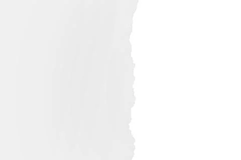 Torn white paper with shadow. Isolated Stock Photos