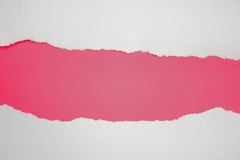 Torn white stripes on a magenta background. Copy space. Stock Photos