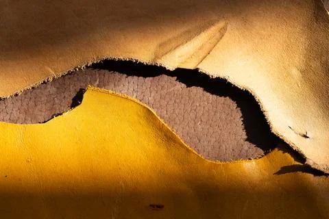 Torn Yellow Leather Sheet with Rough Edges Revealing Brown Textured Base, D.. 库存照片