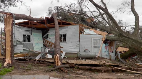 Tornado aftermath - 3 huge trees crush a house Stock Footage 60730194