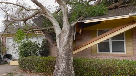 Tornado aftermath - Tree falls on house Stock Footage 60782764