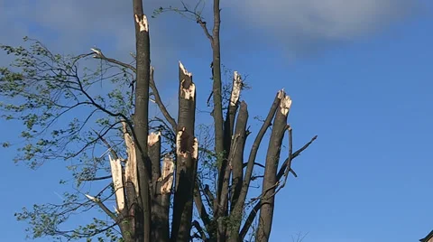 Tornado and thunderstorm damage destroys small town of Goderich Canada Stock Footage 36888548