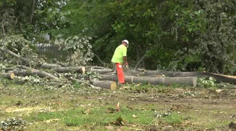 Tornado cleanup Video stock 11824728