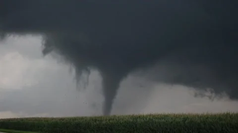 Tornado with Debris over Cornfield 스톡 동영상 158660556