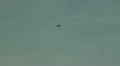 Tornado military airshow with sound flight demonstration HD Footage