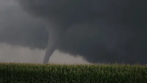 Tornado Moves across Cornfield 스톡 동영상 158660626