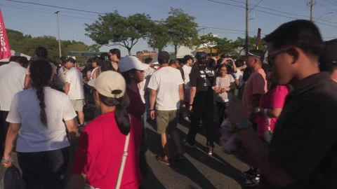 Toronto, Can Aug 14 2026 Taste of Manila festival Celebrates Filipino Culture Stock Footage 342455662