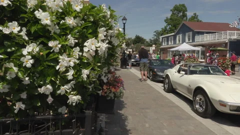 Toronto, Can Aug 14 2026 Taste of Manila festival Celebrates Filipino Culture Stock Footage 342461992