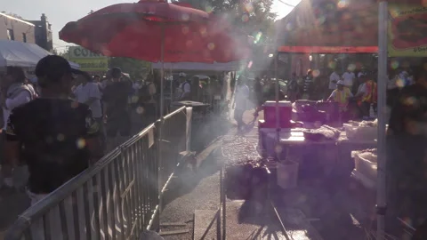 Toronto, Can Aug 14 2026 Taste of Manila festival Celebrates Filipino Culture Stock Footage 342463272