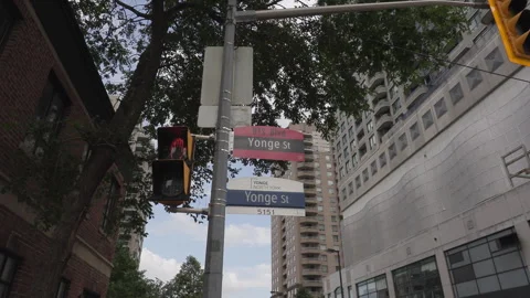 Toronto, Can Aug 22 2026  Toronto Korean food harvest Festival 스톡 동영상 343275472