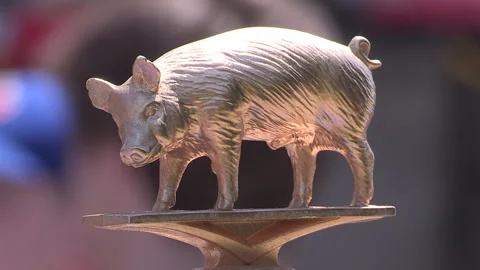 Toronto, Can May 23 2026 Ribfest summer ribs BBQ festival Stock Footage 340916828