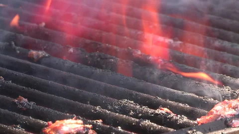 Toronto, Can May 23 2026 Ribfest summer ribs BBQ festival Stock Footage 340916883