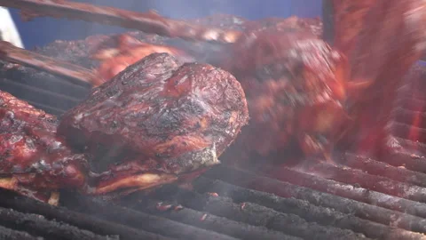 Toronto, Can May 23 2026 Ribfest summer ribs BBQ festival Stock Footage 340916896