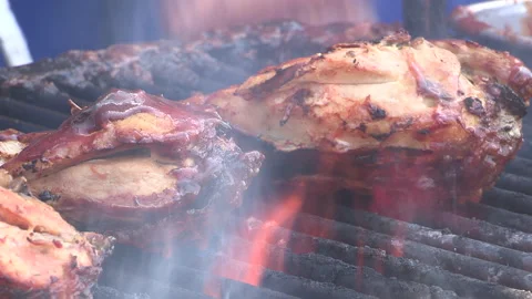 Toronto, Can May 23 2026 Ribfest summer ribs BBQ festival Stock Footage 340916899