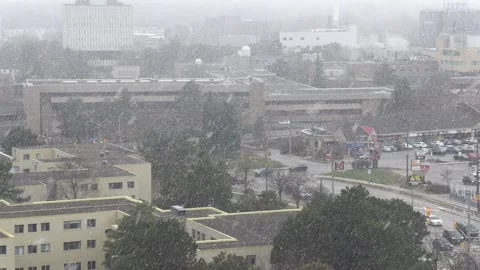 Toronto, Canada, Apr 20 2026 Blizzard of snow in the city in spring Stock Footage 332808576