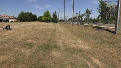 Toronto, Canada, Aug 12  2026 Brown dry grass during severe Toronto drought Stock Footage 344172428