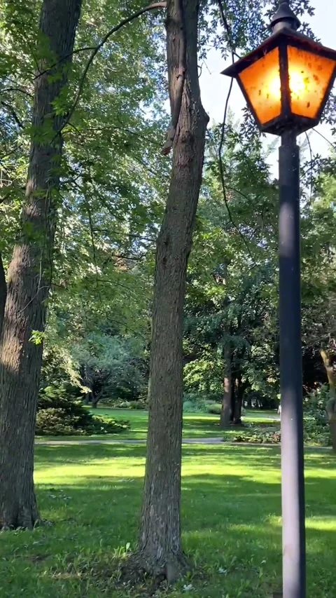 Toronto Canada August 15 2026 walking in Rosetta McClain Gardens paved pathway 스톡 동영상 343008652