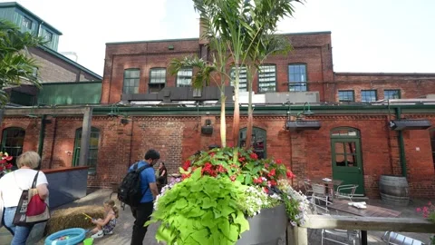 Toronto, Canada - August 3, 2024: Exploring The Distillery District: A nati.. Vídeos de archivo 303064048