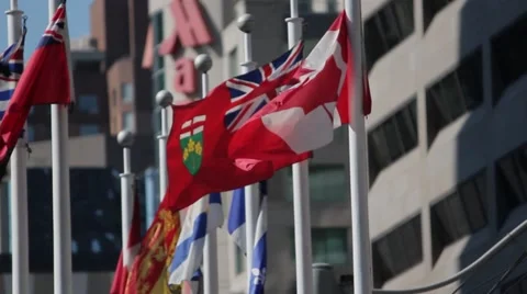 Toronto - City Hall Flags Video stock 40536229
