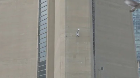 Toronto [CN tower] 1 Stock Footage 82646269