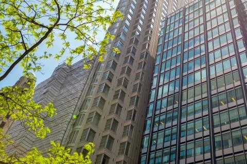 Toronto downtown Stock Photos