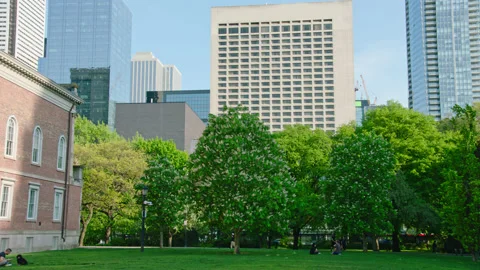 Toronto Downtown View CN tower v2, logos removed Stock Footage 195538227